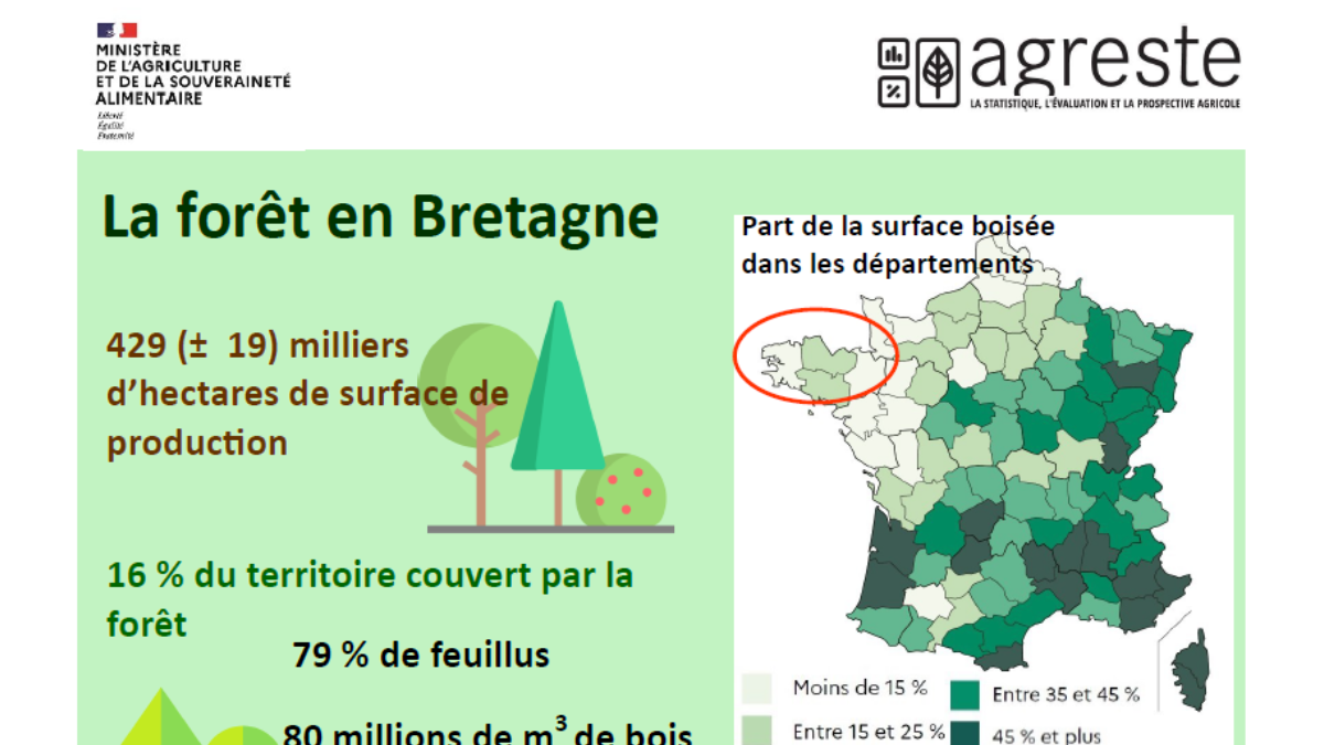 La forêt en Bretagne, édition 2023 | DRAAF Bretagne