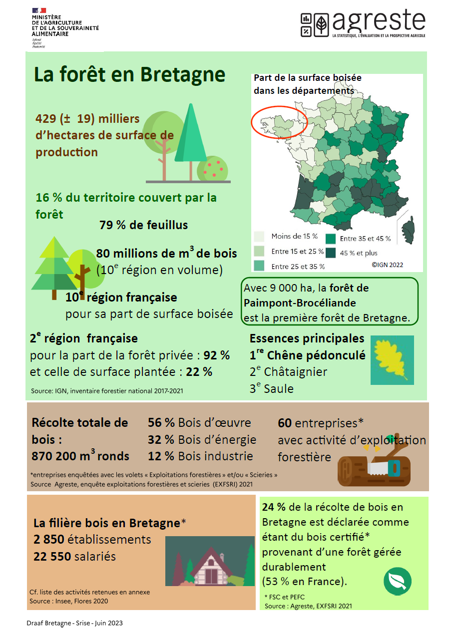 La forêt en Bretagne