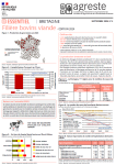 Vignette Image 1 : La filière bovins viande en Bretagne, édition 2024, recto