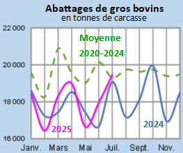 Image 1 : Évolution des abattages de gros bovins en 2024,2023, comparé à la moyenne 2019-2023 en Bretagne (en tonnes de carcasse)