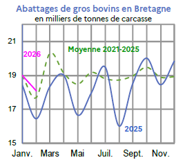 Image 1 : &Eacute;volution des abattages de gros bovins en 2024,2023, compar&eacute; &agrave; la moyenne 2019-2023 en Bretagne (en tonnes de carcasse). Donn&eacute;es t&eacute;l&eacute;chargeables au format tableur sur cette page.