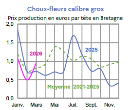 Image 5 : &Eacute;volution mensuelle des cours du chou-fleur en 2024, 2025 compar&eacute;s &agrave; la moyenne 2020-2024 en Bretagne (prix production en euros par t&ecirc;te). Donn&eacute;es t&eacute;l&eacute;chargeables au format tableur sur cette page.