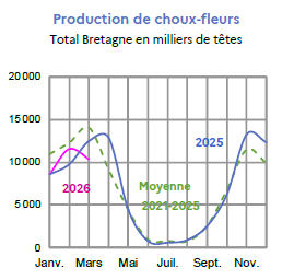 Image 5 : &Eacute;volution de la production de choux-fleurs en 2025, 2024, compar&eacute;e &agrave; la moyenne 2020-2024 en Bretagne (en milliers de t&ecirc;tes). Donn&eacute;es t&eacute;l&eacute;chargeables au format tableur sur cette page.