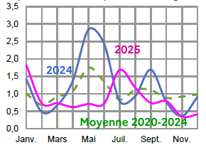 Image 5 : &Eacute;volution mensuelle des cours du chou-fleur en 2024, 2025 compar&eacute;s &agrave; la moyenne 2020-2024 en Bretagne (prix production en euros par t&ecirc;te). Donn&eacute;es t&eacute;l&eacute;chargeables au format tableur sur cette page.