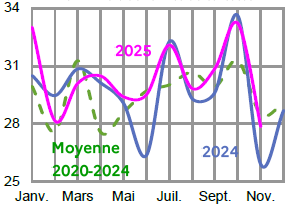 Image 3 : &Eacute;volution des abattages de poulets de chair en 2024,2023, compar&eacute; &agrave; la moyenne 2019-2023 en Bretagne (en tonnes de carcasses). Donn&eacute;es t&eacute;l&eacute;chargeables au format tableur sur cette page.