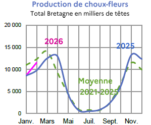 Image 5 : &Eacute;volution de la production de choux-fleurs en 2025, 2024, compar&eacute;e &agrave; la moyenne 2020-2024 en Bretagne (en milliers de t&ecirc;tes). Donn&eacute;es t&eacute;l&eacute;chargeables au format tableur sur cette page.