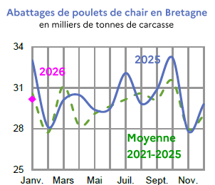 Image 3 : &Eacute;volution des abattages de poulets de chair en 2024,2023, compar&eacute; &agrave; la moyenne 2019-2023 en Bretagne (en tonnes de carcasses). Donn&eacute;es t&eacute;l&eacute;chargeables au format tableur sur cette page.