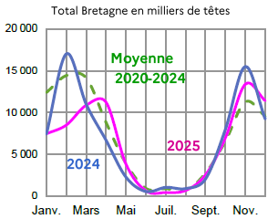 Image 5 : &Eacute;volution de la production de choux-fleurs en 2025, 2024, compar&eacute;e &agrave; la moyenne 2020-2024 en Bretagne (en milliers de t&ecirc;tes). Donn&eacute;es t&eacute;l&eacute;chargeables au format tableur sur cette page.