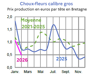 Image 5 : &Eacute;volution mensuelle des cours du chou-fleur en 2024, 2025 compar&eacute;s &agrave; la moyenne 2020-2024 en Bretagne (prix production en euros par t&ecirc;te). Donn&eacute;es t&eacute;l&eacute;chargeables au format tableur sur cette page.