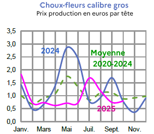 Image 5 : Évolution mensuelle des cours du chou-fleur en 2024, 2025 comparés à la moyenne 2020-2024 en Bretagne (prix production en euros par tête). Données téléchargeables au format tableur sur cette page.
