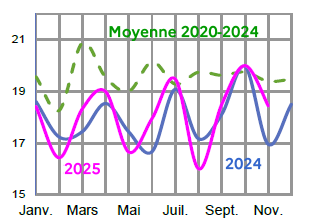 Image 1 : &Eacute;volution des abattages de gros bovins en 2024,2023, compar&eacute; &agrave; la moyenne 2019-2023 en Bretagne (en tonnes de carcasse). Donn&eacute;es t&eacute;l&eacute;chargeables au format tableur sur cette page.