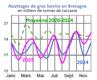 Image 1 : &Eacute;volution des abattages de gros bovins en 2024,2023, compar&eacute; &agrave; la moyenne 2019-2023 en Bretagne (en tonnes de carcasse). Donn&eacute;es t&eacute;l&eacute;chargeables au format tableur sur cette page.