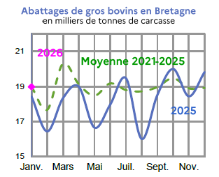 Image 1 : &Eacute;volution des abattages de gros bovins en 2024,2023, compar&eacute; &agrave; la moyenne 2019-2023 en Bretagne (en tonnes de carcasse). Donn&eacute;es t&eacute;l&eacute;chargeables au format tableur sur cette page.