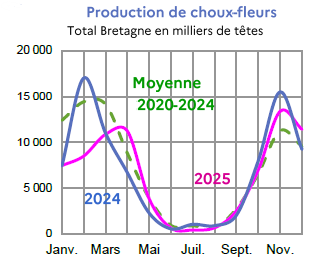 Image 5 : &Eacute;volution mensuelle des cours du chou-fleur en 2024, 2025 compar&eacute;s &agrave; la moyenne 2020-2024 en Bretagne (prix production en euros par t&ecirc;te). Donn&eacute;es t&eacute;l&eacute;chargeables au format tableur sur cette page.