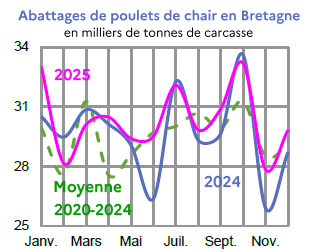 Image 3 : &Eacute;volution des abattages de poulets de chair en 2024,2023, compar&eacute; &agrave; la moyenne 2019-2023 en Bretagne (en tonnes de carcasses). Donn&eacute;es t&eacute;l&eacute;chargeables au format tableur sur cette page.