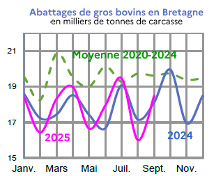 Image 1 : Évolution des abattages de gros bovins en 2024,2023, comparé à la moyenne 2019-2023 en Bretagne (en tonnes de carcasse). Données téléchargeables au format tableur sur cette page.