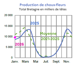 Image 5 : &Eacute;volution de la production de choux-fleurs en 2025, 2024, compar&eacute;e &agrave; la moyenne 2020-2024 en Bretagne (en milliers de t&ecirc;tes). Donn&eacute;es t&eacute;l&eacute;chargeables au format tableur sur cette page.