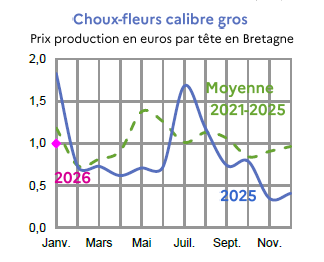 Image 5 : &Eacute;volution mensuelle des cours du chou-fleur en 2024, 2025 compar&eacute;s &agrave; la moyenne 2020-2024 en Bretagne (prix production en euros par t&ecirc;te). Donn&eacute;es t&eacute;l&eacute;chargeables au format tableur sur cette page.