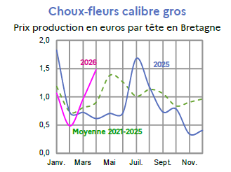 Image 5 : &Eacute;volution mensuelle des cours du chou-fleur en 2025, 2026 compar&eacute;s &agrave; la moyenne 2021-2025 en Bretagne (prix production en euros par t&ecirc;te). Donn&eacute;es t&eacute;l&eacute;chargeables au format tableur sur cette page.
