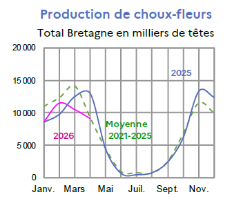 Image 5 : &Eacute;volution de la production de choux-fleurs en 2025, 2024, compar&eacute;e &agrave; la moyenne 2020-2024 en Bretagne (en milliers de t&ecirc;tes). Donn&eacute;es t&eacute;l&eacute;chargeables au format tableur sur cette page.