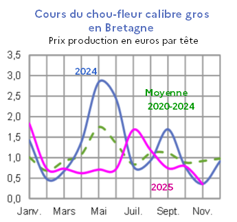 Image 5 : &Eacute;volution mensuelle des cours du chou-fleur en 2024, 2025 compar&eacute;s &agrave; la moyenne 2020-2024 en Bretagne (prix production en euros par t&ecirc;te). Donn&eacute;es t&eacute;l&eacute;chargeables au format tableur sur cette page.