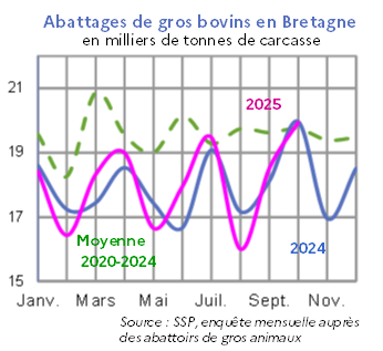 Image 1 : &Eacute;volution des abattages de gros bovins en 2024,2023, compar&eacute; &agrave; la moyenne 2019-2023 en Bretagne (en tonnes de carcasse). Donn&eacute;es t&eacute;l&eacute;chargeables au format tableur sur cette page.