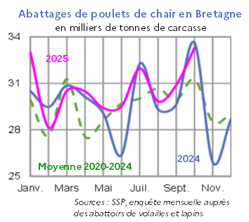 Image 3 : &Eacute;volution des abattages de poulets de chair en 2024,2023, compar&eacute; &agrave; la moyenne 2019-2023 en Bretagne (en tonnes de carcasses). Donn&eacute;es t&eacute;l&eacute;chargeables au format tableur sur cette page.