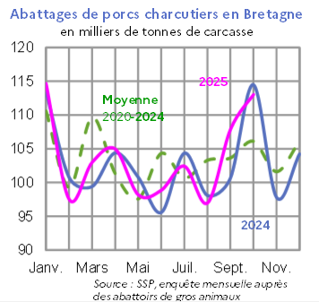 Image 2 : &Eacute;volution mensuelle des abattages de porcs charcutiers en 2024 et 2023 compar&eacute;s &agrave; la moyenne 2020-2024 en Bretagne (en milliers de tonnes de carcasse). Donn&eacute;es t&eacute;l&eacute;chargeables au format tableur sur cette page.