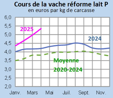 Image 4 : Évolution mensuelle des cours de la vache de réforme P en 2024, 2025 comparés à la moyenne 2020-2024 en Bretagne (en euros par kg de carcasse)
