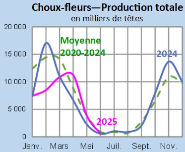 Image 5 : Évolution de la production de choux-fleurs en 2025, 2024, comparée à la moyenne 2020-2024 en Bretagne (en milliers de têtes)