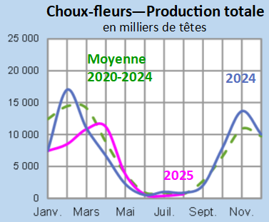 Image 5 : Évolution de la production de choux-fleurs en 2025, 2024, comparée à la moyenne 2020-2024 en Bretagne (en milliers de têtes)