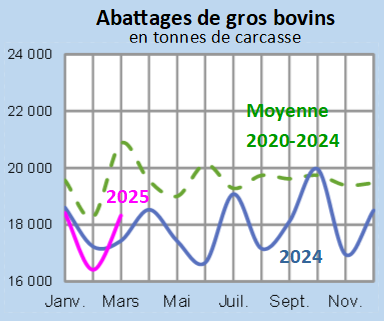 Image 1 : Évolution des abattages de gros bovins en 2024,2023, comparé à la moyenne 2019-2023 en Bretagne (en tonnes de carcasse)