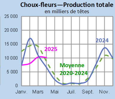 Image 5 : Évolution de la production de choux-fleurs en 2025, 2024, comparée à la moyenne 2020-2024 en Bretagne (en milliers de têtes)
