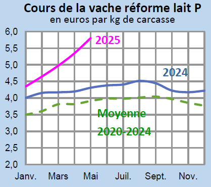 Image 4 : Évolution mensuelle des cours de la vache de réforme P en 2024, 2025 comparés à la moyenne 2020-2024 en Bretagne (en euros par kg de carcasse)