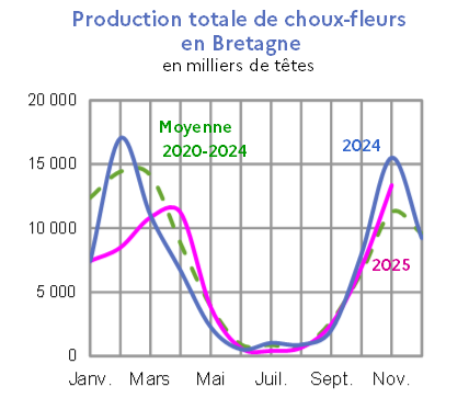 Image 5 : &Eacute;volution de la production de choux-fleurs en 2025, 2024, compar&eacute;e &agrave; la moyenne 2020-2024 en Bretagne (en milliers de t&ecirc;tes). Donn&eacute;es t&eacute;l&eacute;chargeables au format tableur sur cette page.