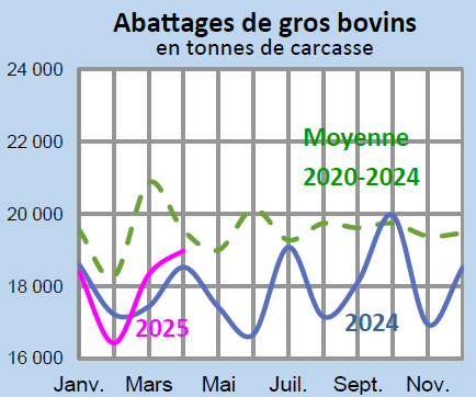 Image 1 : Évolution des abattages de gros bovins en 2024,2023, comparé à la moyenne 2019-2023 en Bretagne (en tonnes de carcasse)