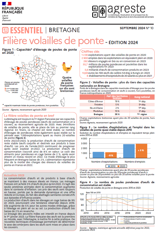 Image 5 : La filière volailles de ponte en Bretagne, édition 2024, recto