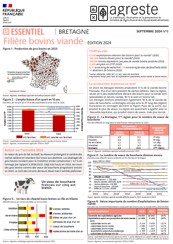 Image 1 : La filière bovins viande en Bretagne, édition 2024, recto