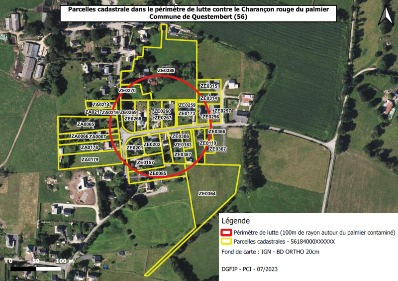 Une zone de lutte de 100 mètres autour du palmier contaminé est constitué sur la commune de Questembert dans le Morbihan. Les parcelles cadastrales concernées sont : ZE 0119 ; ZE 0157 ; ZE 0173 ; ZA 0178 ; ZA 0179 ; ZE 0182 ; ZE 0183 ; ZE 0201 ; ZE 0202 ; ZA 0214 ; ZA 0216 ; ZA 0217 ; ZE 0259 ; ZE 0260 ; ZE 0267 ; ZE 0268 ; ZE 0269 ; ZE 0270 ; ZE 0296 ; ZE 0297 ; ZE 0314 ; ZE 0315 ; ZE 0364 ; ZE 0366; ZE 0367 ; ZE 0386 ; ZE 0387 ; ZE 0388 ; ZA 0065 ; ZA 0066 ; ZA 0067 ; ZE 0085