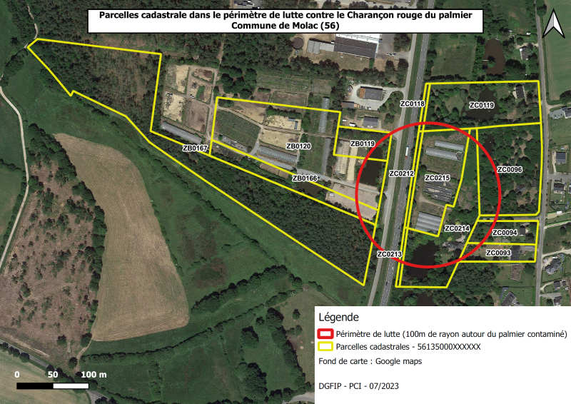 Une zone de lutte de 100 mètres autour du palmier contaminé est constitué sur la commune de Molac dans le Morbihan. Les parcelles cadastrales concernées sont : ZB 0119, 0120, 0166, 0167 ; ZC 0093, 0096, 0118, 0119, 0212, 0213, 0214, 0215.